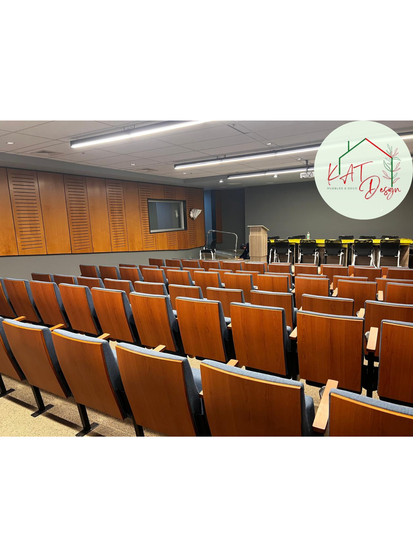 Proyecto Auditorio Universidad Mayor