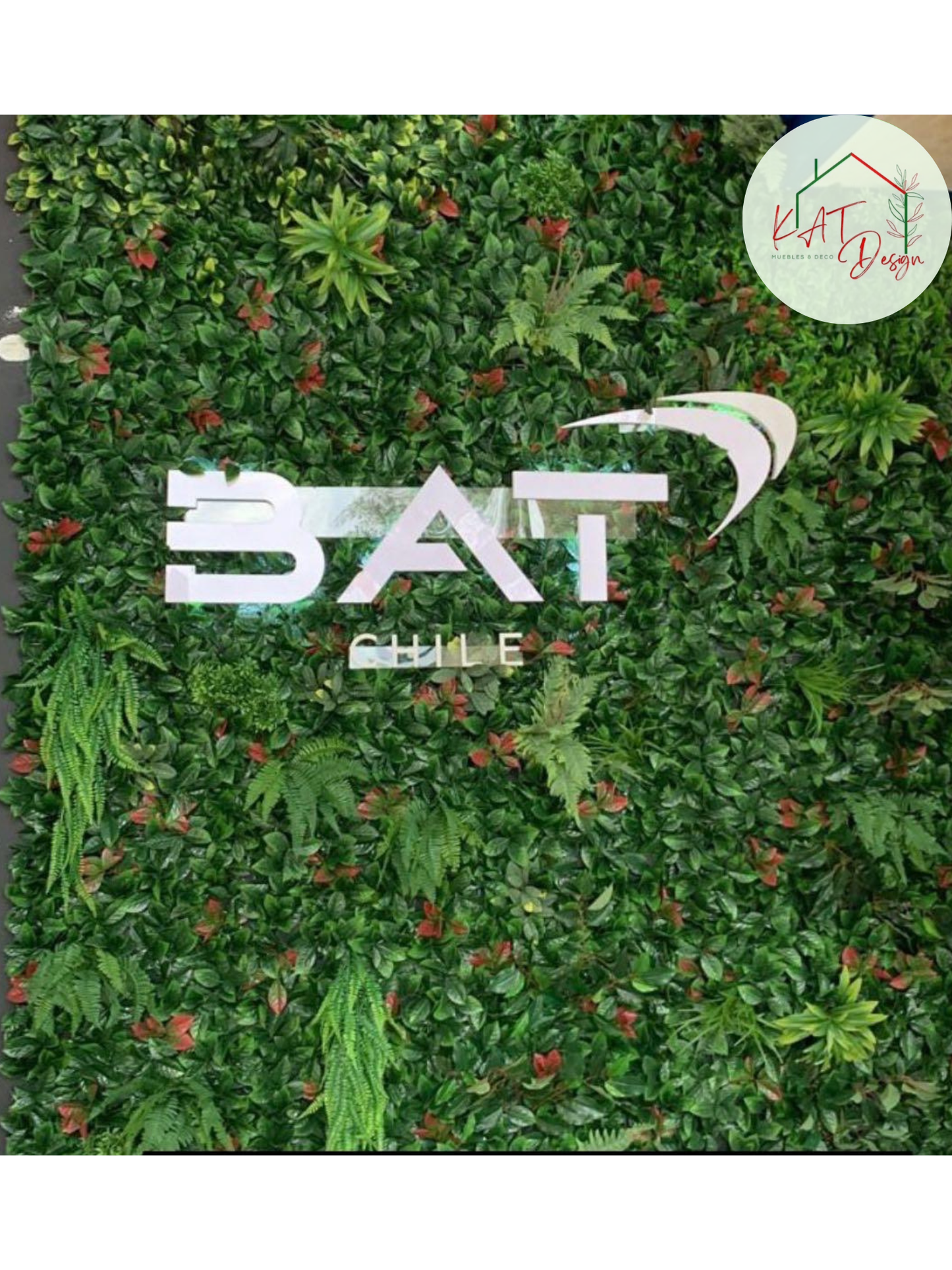 Proyecto BAT Chile